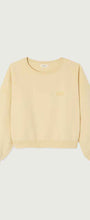 Sweatshirt Jitbay