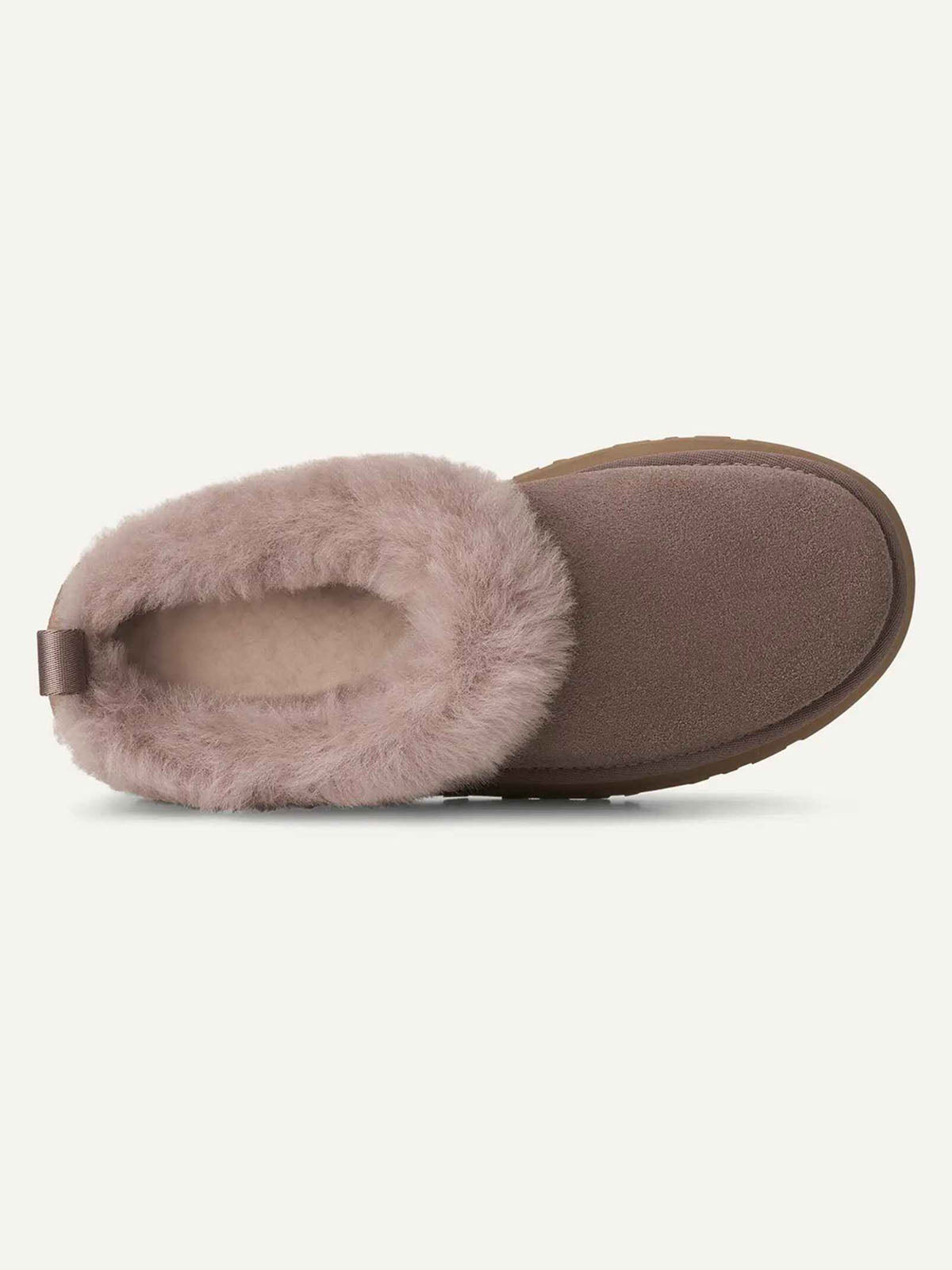 Tazzelle