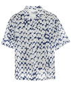 BlueWhite%%%a